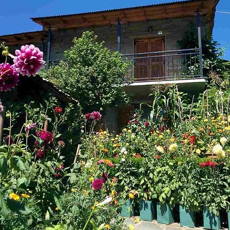 Guesthouse Gouris تسيبيلوفو المظهر الخارجي الصورة