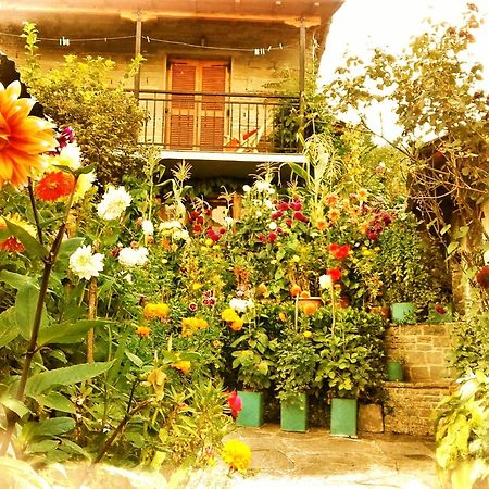 Guesthouse Gouris تسيبيلوفو المظهر الخارجي الصورة