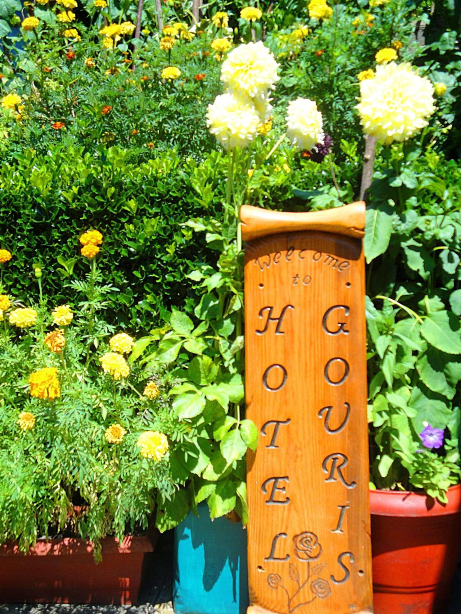 Guesthouse Gouris تسيبيلوفو المظهر الخارجي الصورة