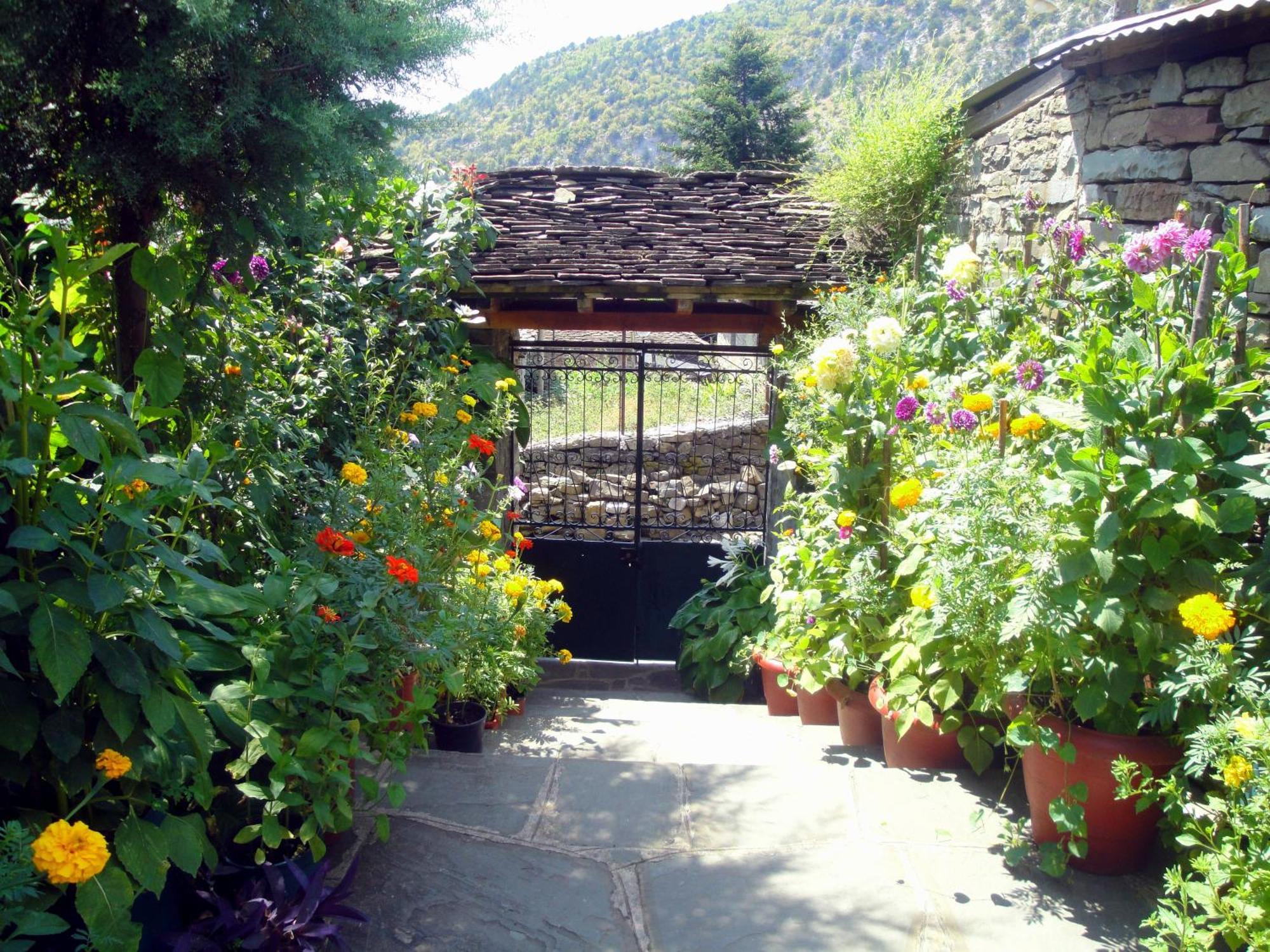 Guesthouse Gouris تسيبيلوفو المظهر الخارجي الصورة