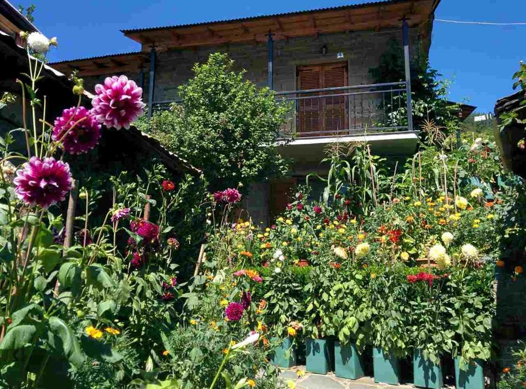 Guesthouse Gouris تسيبيلوفو المظهر الخارجي الصورة
