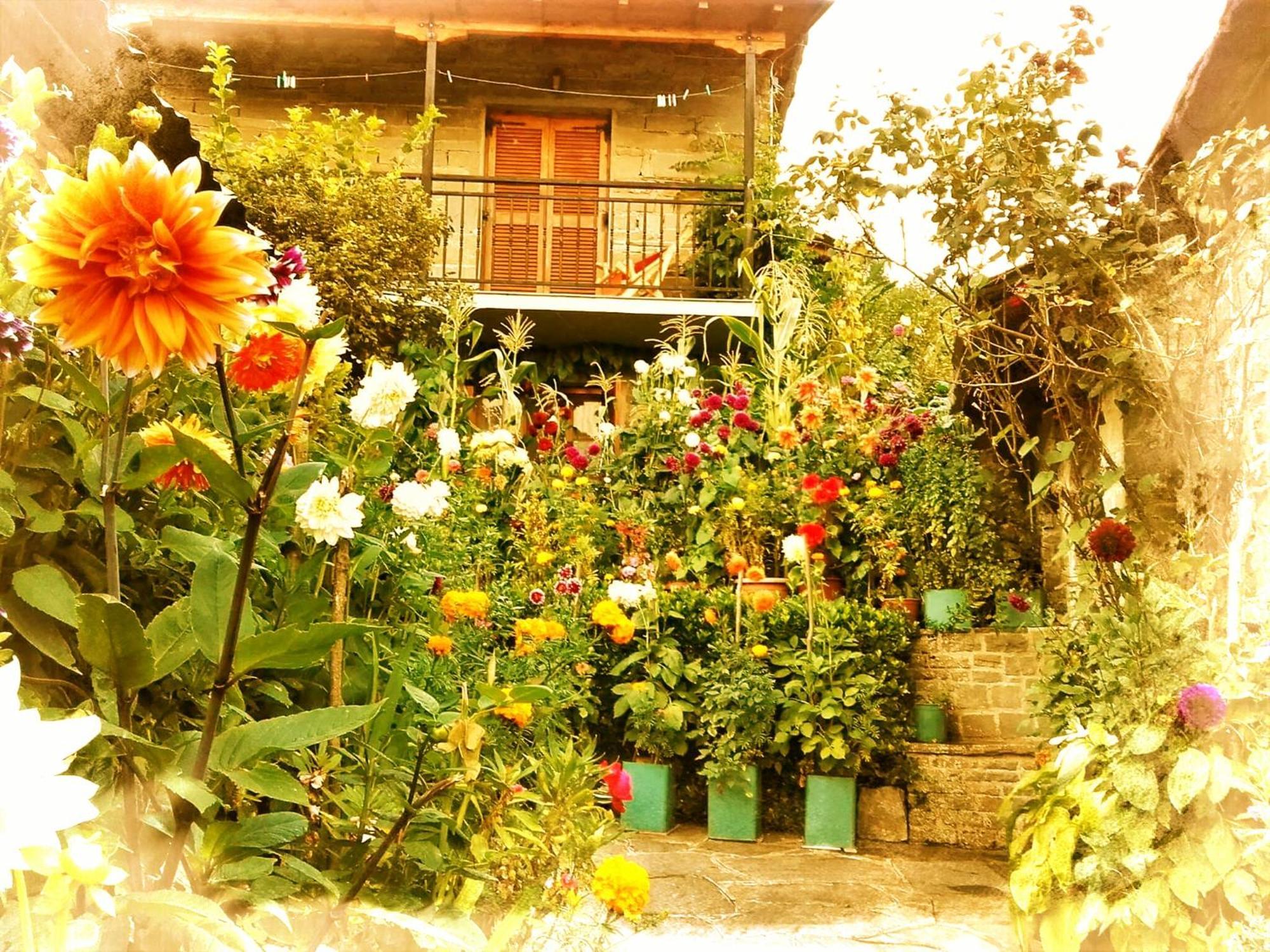 Guesthouse Gouris تسيبيلوفو المظهر الخارجي الصورة