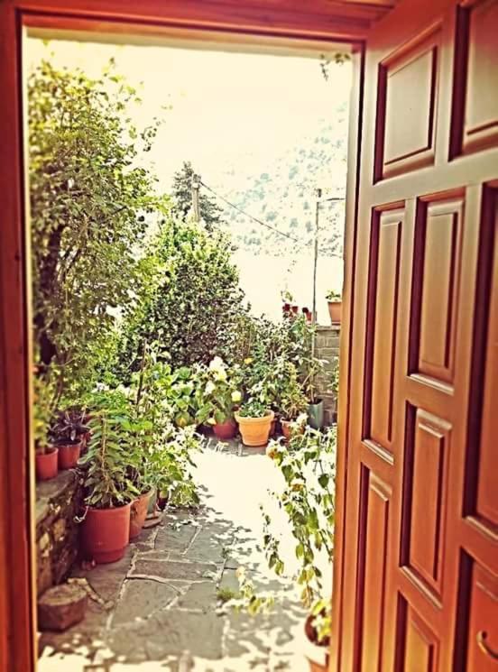 Guesthouse Gouris تسيبيلوفو المظهر الخارجي الصورة